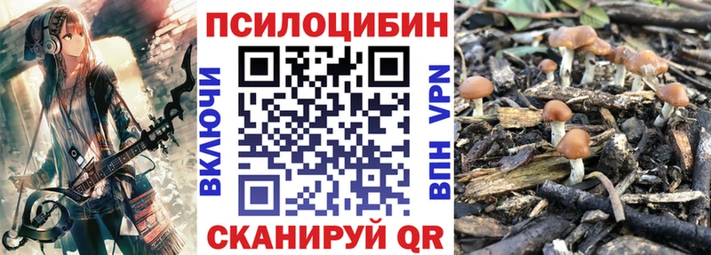 Галлюциногенные грибы Magic Shrooms  Суджа 