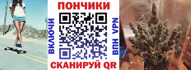 Каннабис ГИДРОПОН  Суджа 